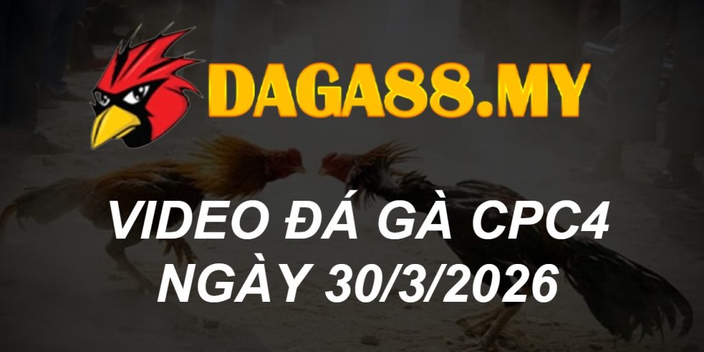 VIDEO GÀ CPC4 NGÀY 30/3/2026