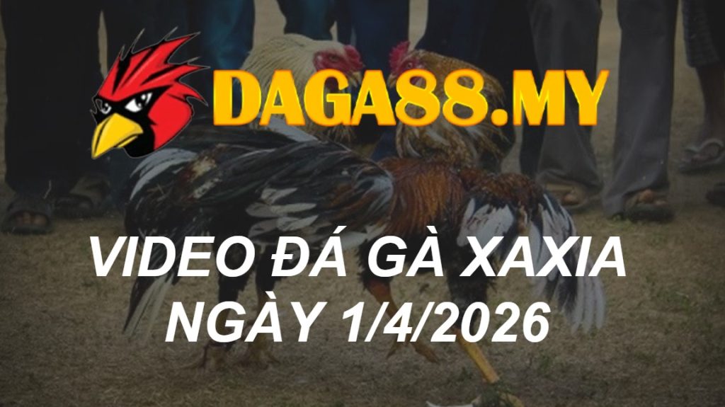 VIDEO GÀ XAXIA NGÀY 1/4/2026